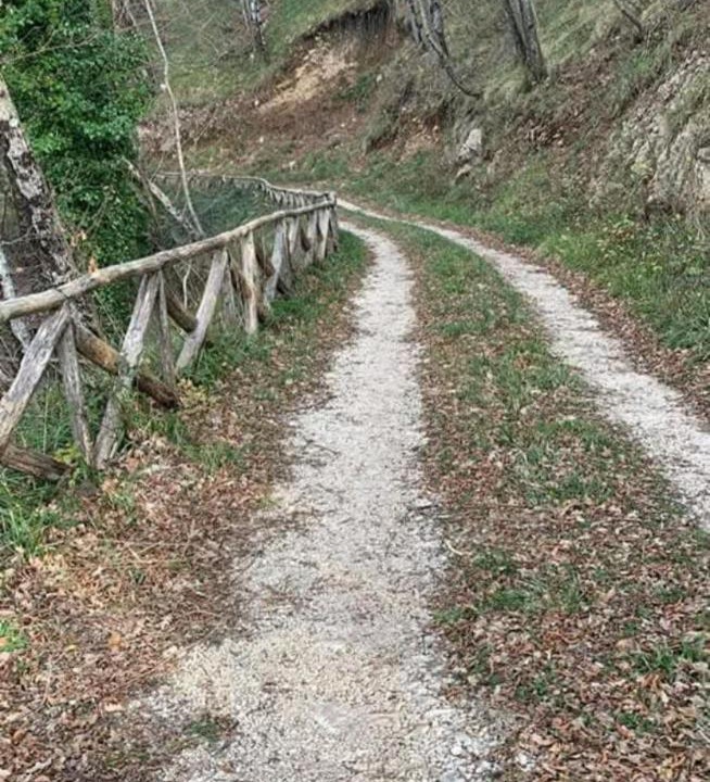 Photo of Others in Morcone
