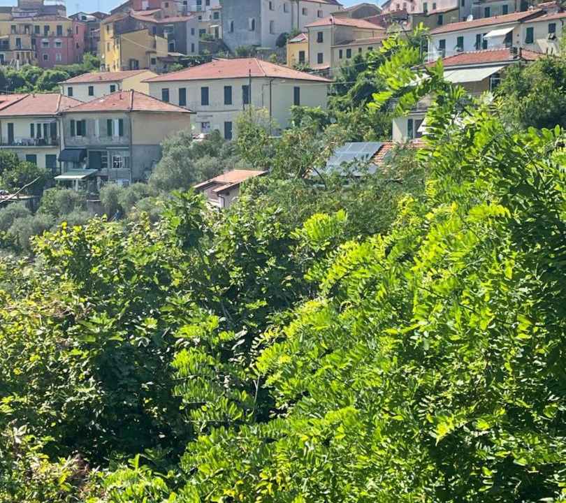 Photo of Others in Pitelli