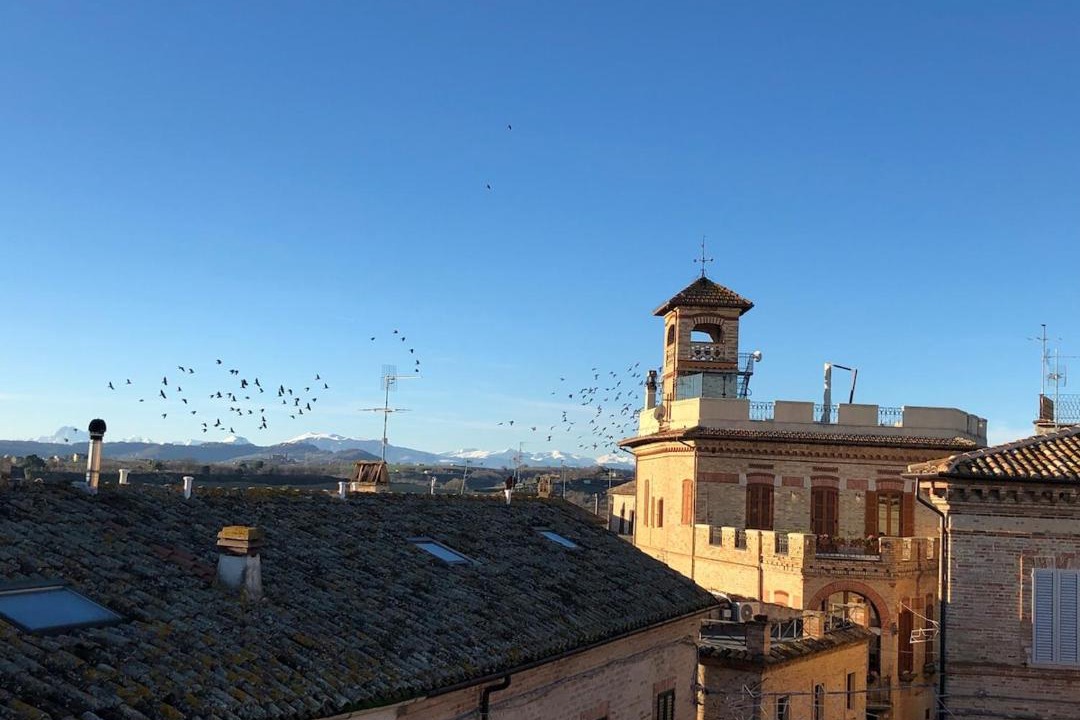 Photo of Buildings in Campofilone