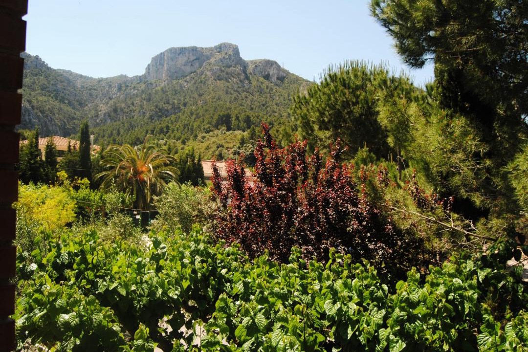 Photo of Others in Tivissa