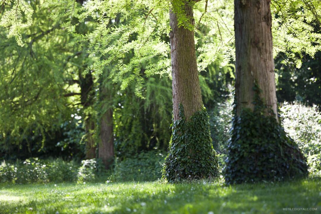 Photo of Outdoor in Crespellano