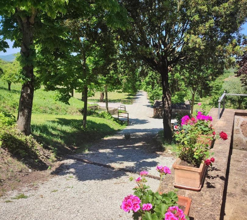 Photo of Others in Orvieto
