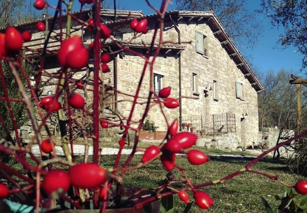 Photo of Others in Monteluiano