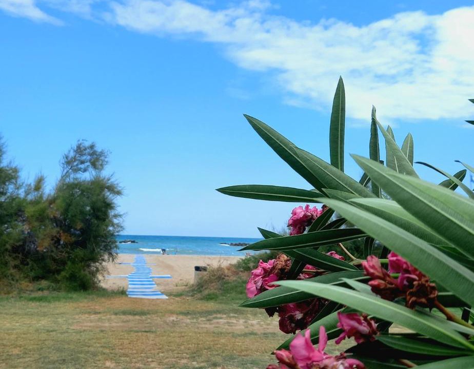Photo of Others in Casabianca di Fermo