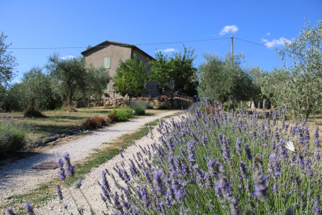 Photo of Others in Avigliano Umbrio