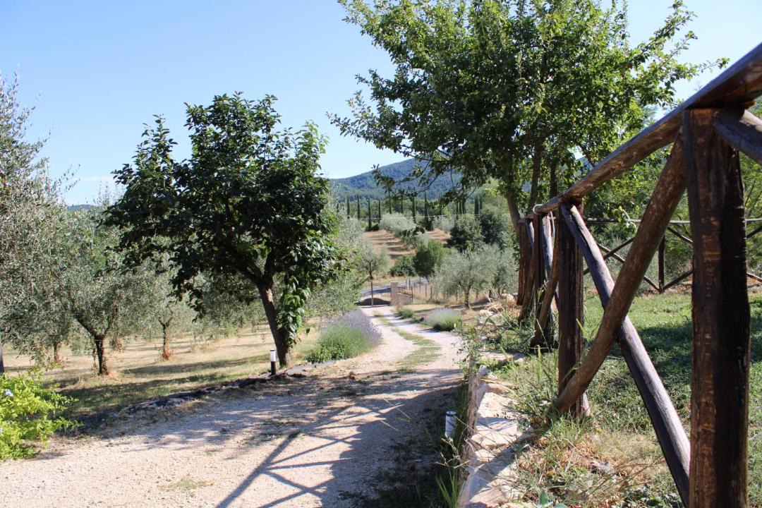 Photo of Others in Avigliano Umbrio
