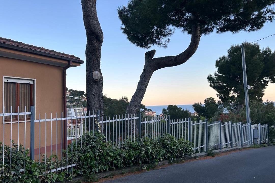 Photo of Others in Marina di Andora