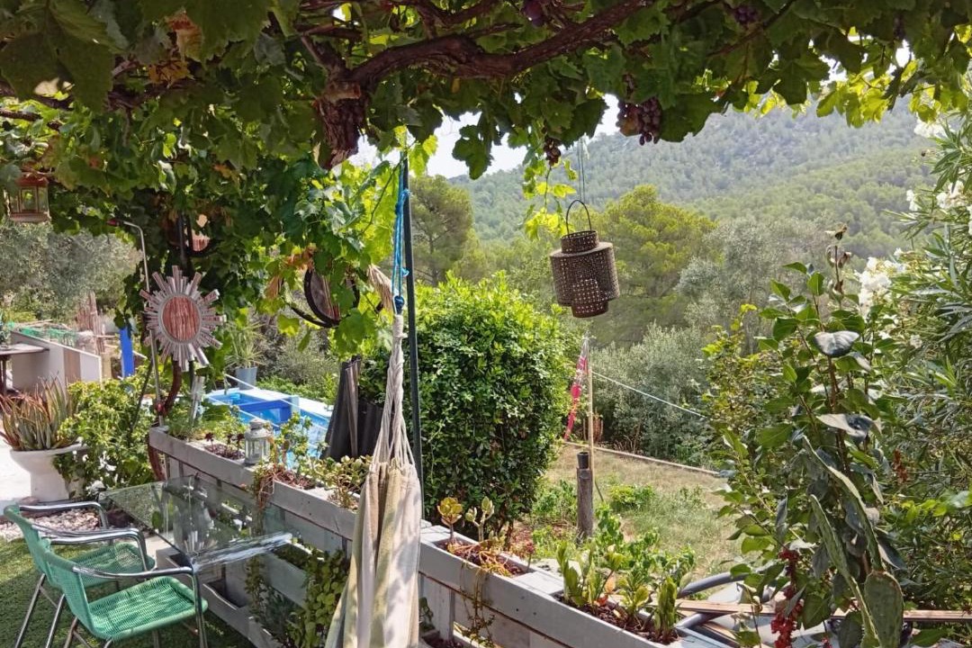 Photo of Others in Olivella