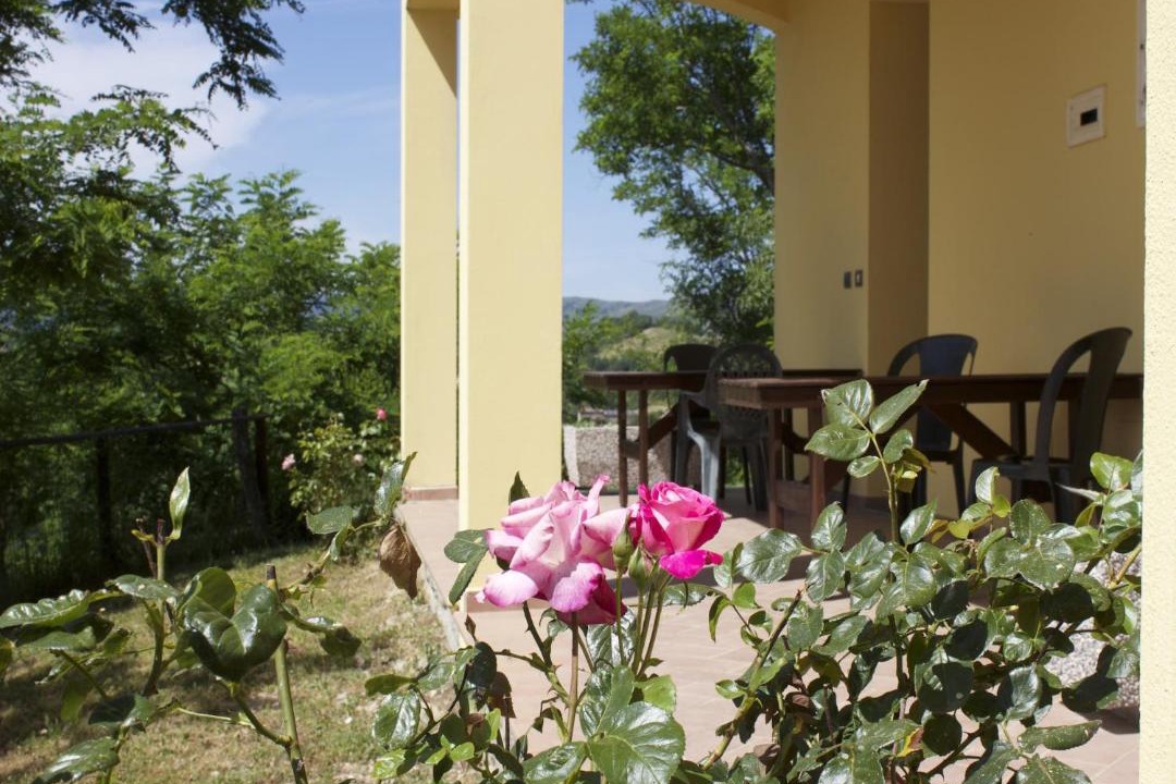 Photo of Others in Casalfiumanese