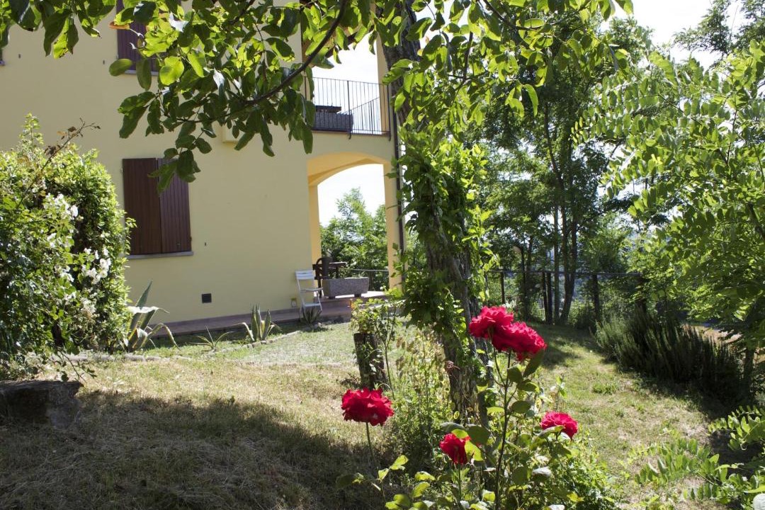 Photo of Others in Casalfiumanese