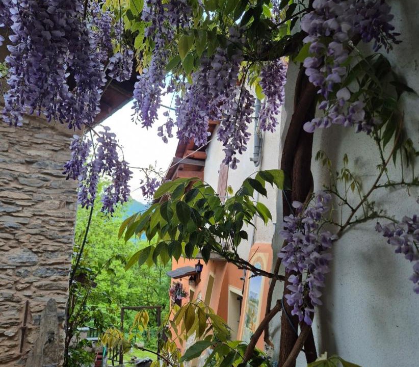 Photo of Others in Borgo San Dalmazzo