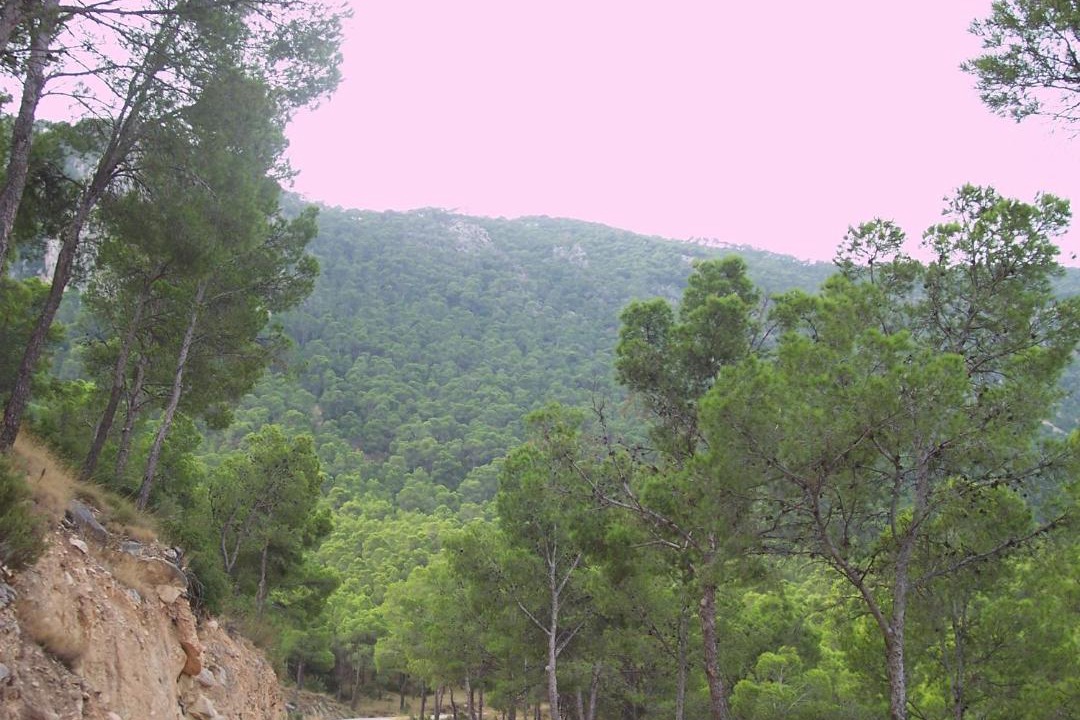 Photo of Others in Huerta de Arriba