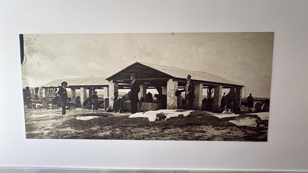 Photo of Others in Pozoblanco