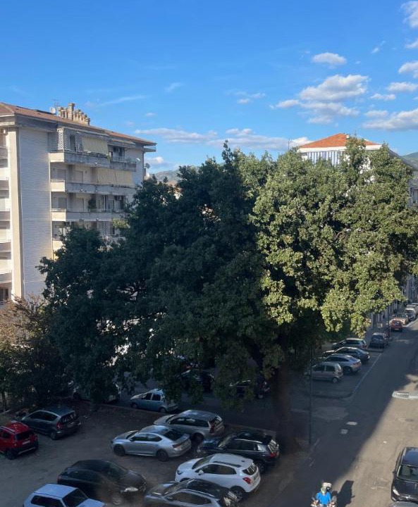 Photo of Others in Cosenza