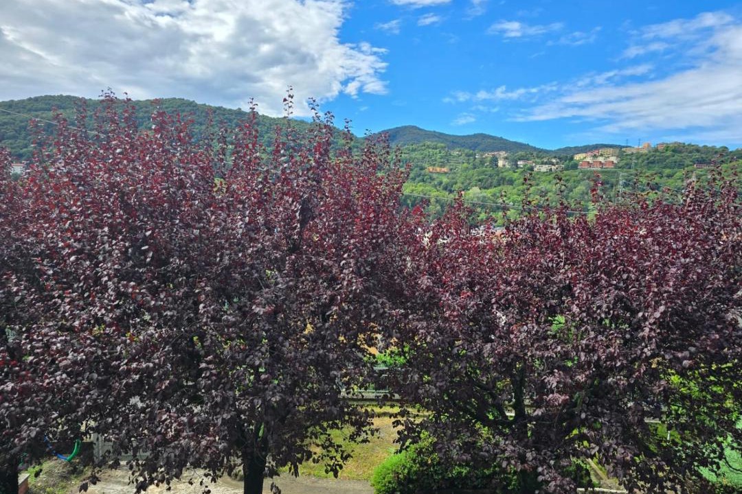 Photo of Others in Cernobbio