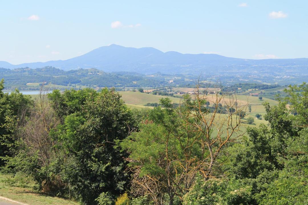 Photo of Others in Gioiella