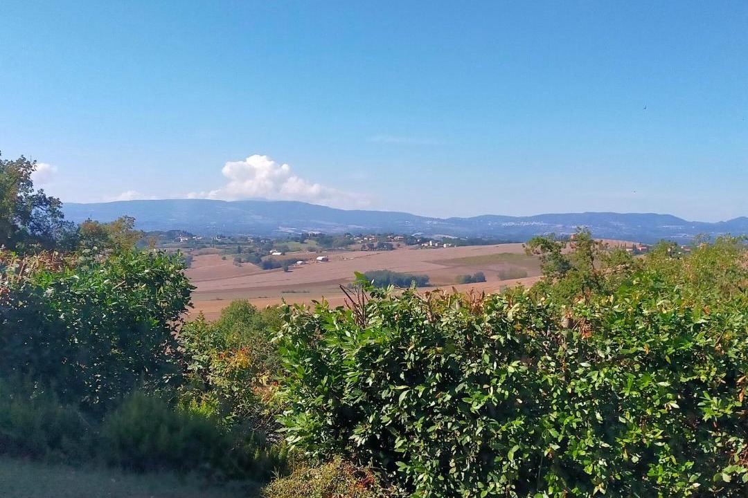 Photo of Others in Gioiella