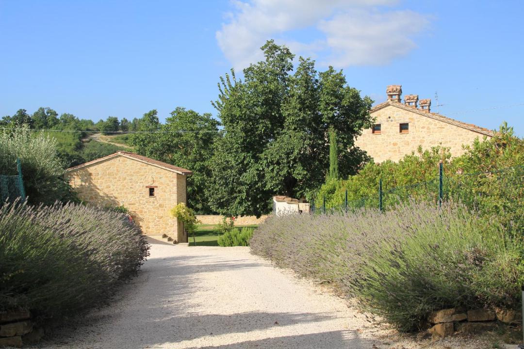 Photo of Others in Perugia