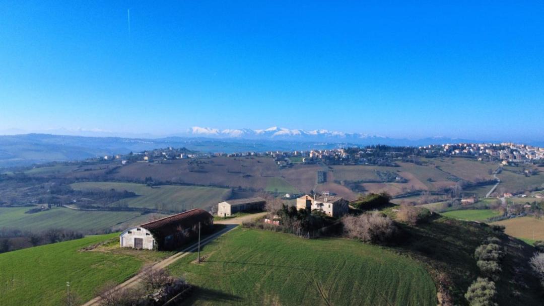 Photo of Others in Montegranaro