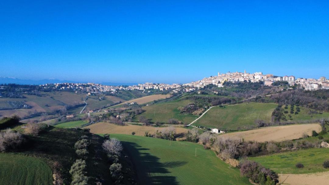 Photo of Others in Montegranaro