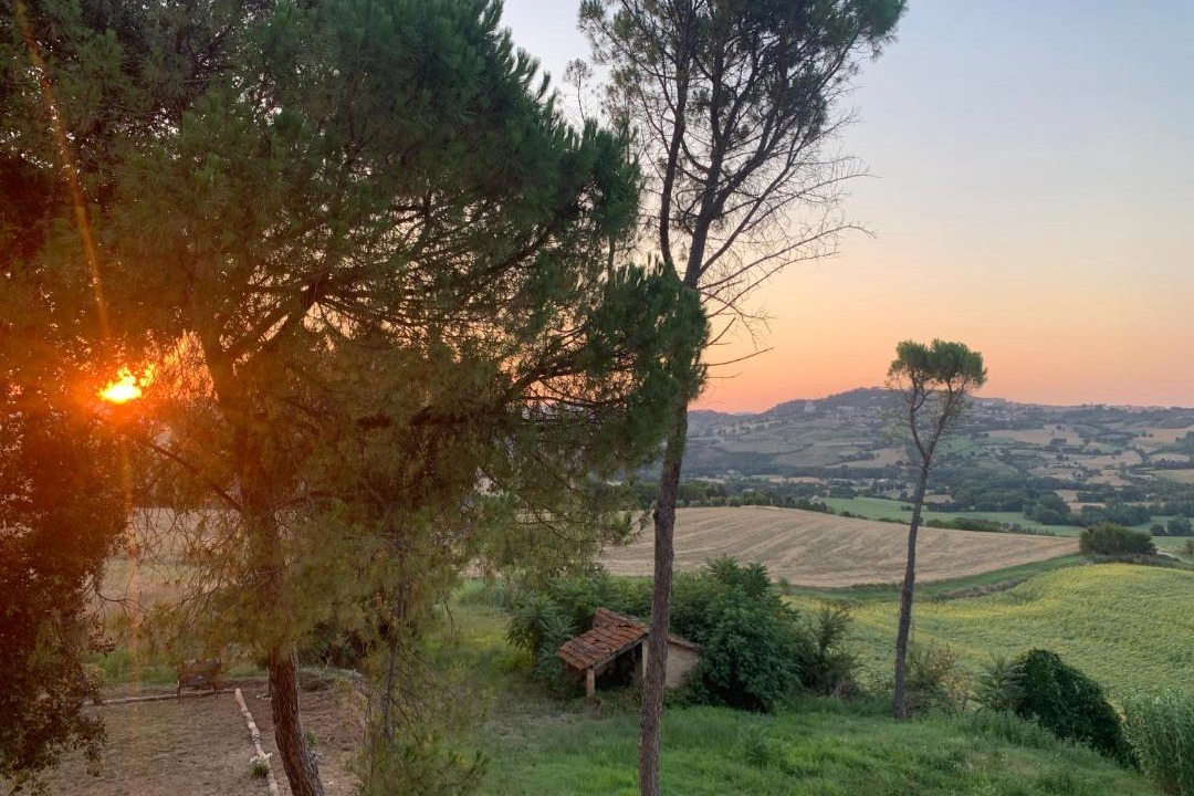 Photo of Others in Todi