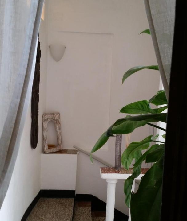 Photo of Others in Varigotti