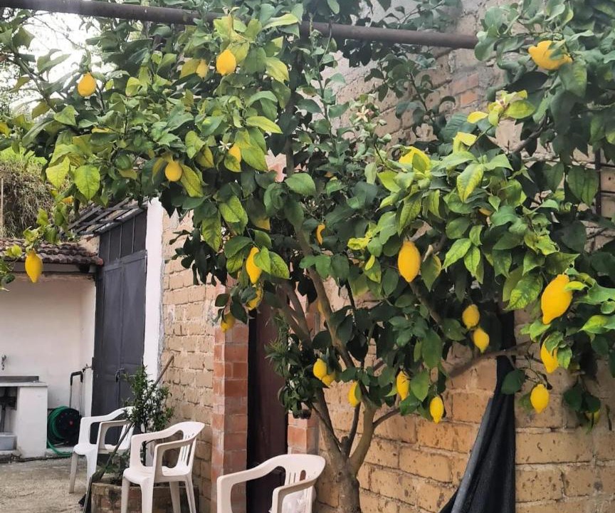 Photo of Others in San Leucio del Sannio