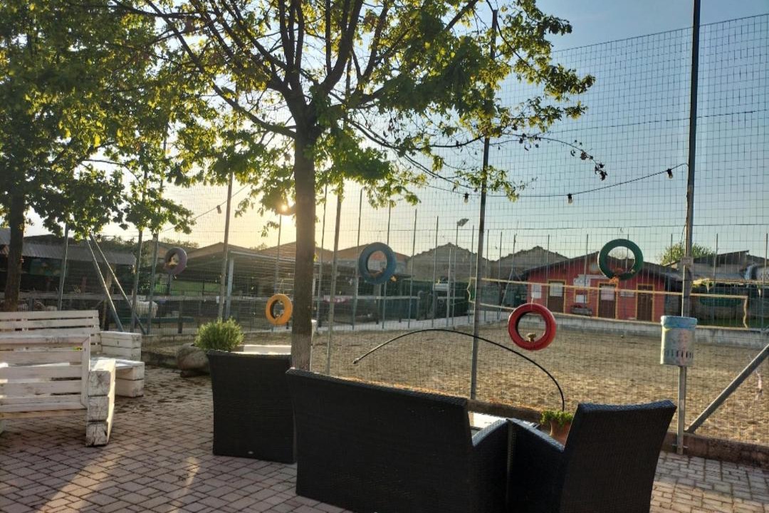 Photo of Others in Ferentino