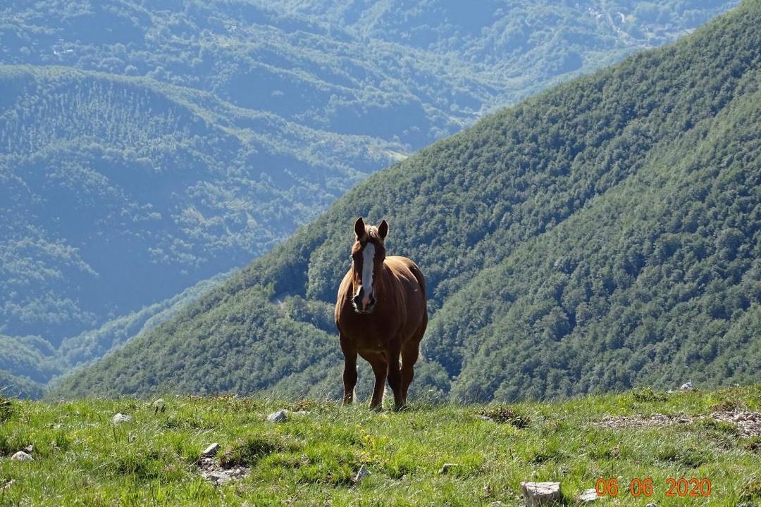 Photo of Others in Civitella Roveto