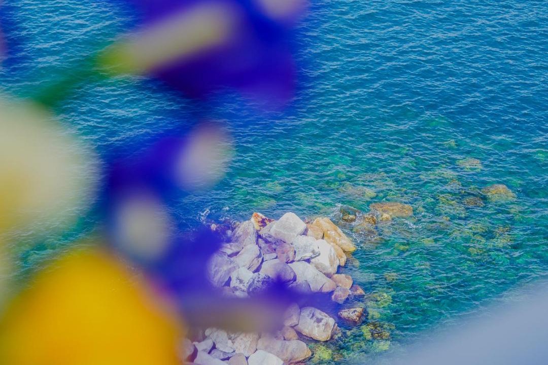 Photo of Others in Manarola