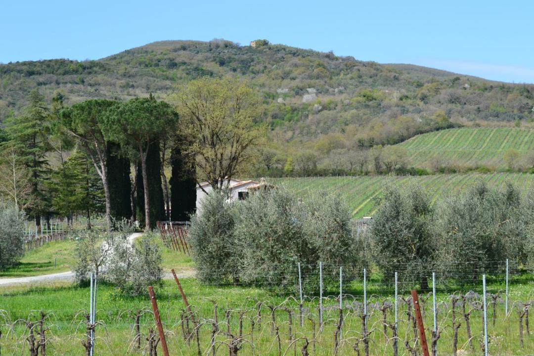 Photo of Others in Castel Viscardo