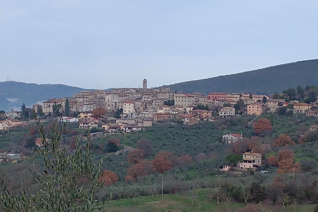 Photo of Buildings in Tenaglie