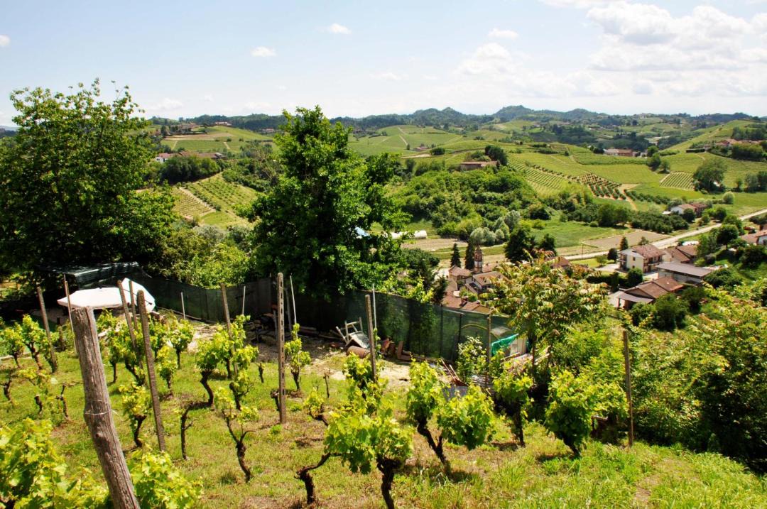 Photo of Others in Santo Stefano Roero