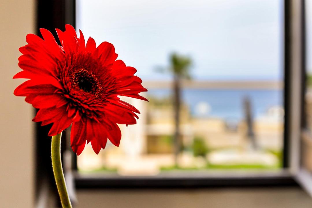 Photo of Patio Balcony in Gallipoli