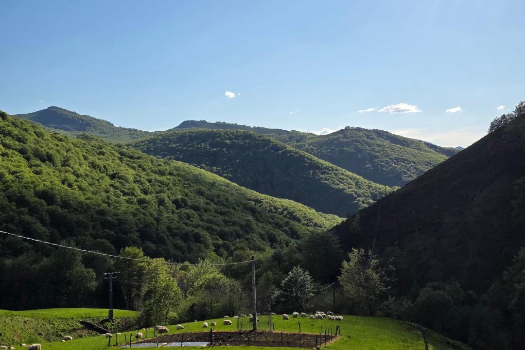 Photo of Others in Baztan