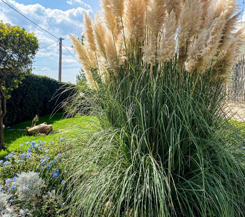 Photo of Outdoor in Syracuse