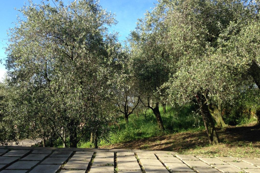 Photo of Outdoor in San Salvatore