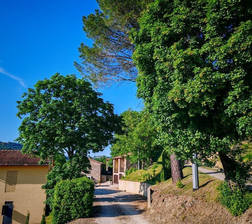 Photo of Others in Castel del Rio