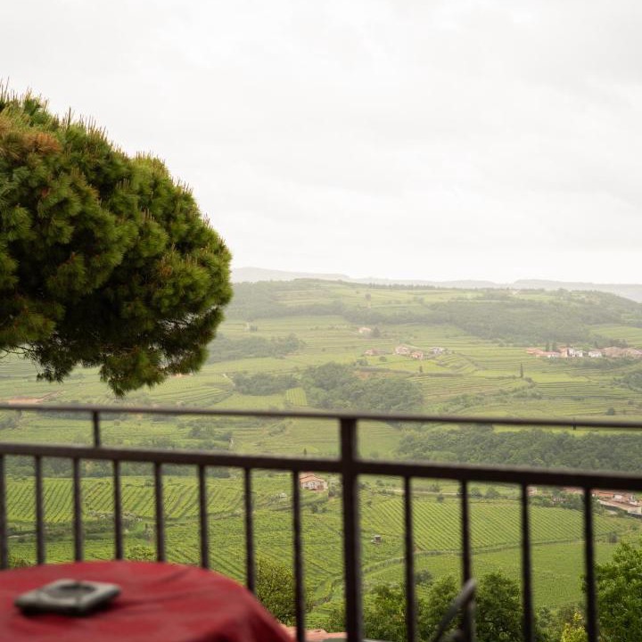 Photo of Others in Marano di Valpolicella