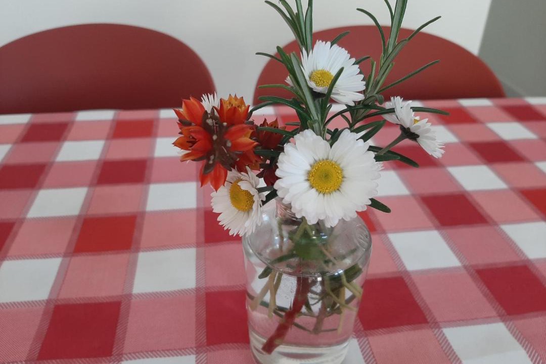 Photo of Others in Santo Stefano di Magra