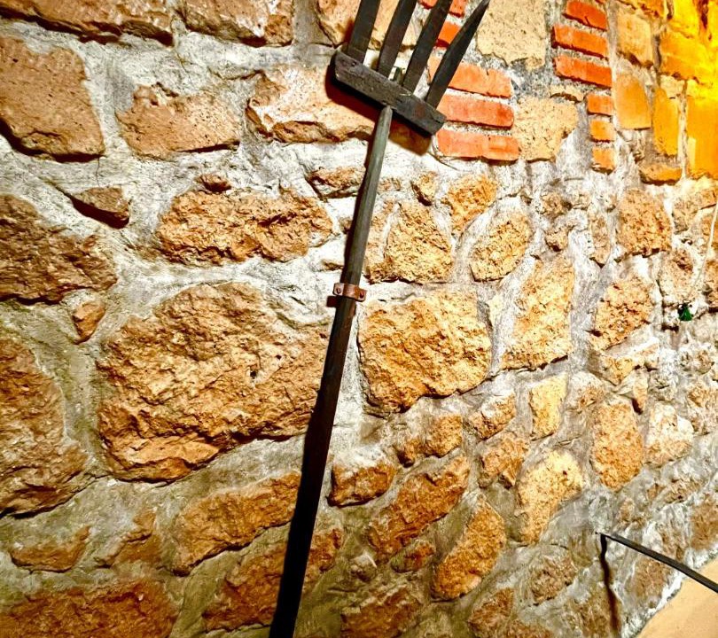 Photo of Kitchen in Artena