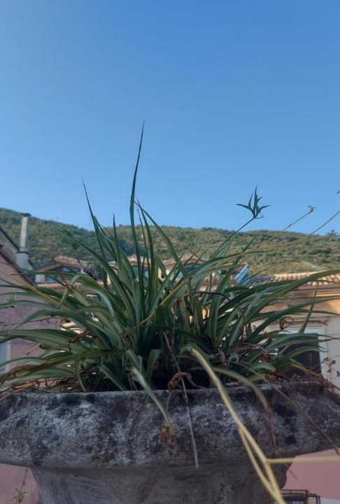 Photo of Others in Piedimonte Matese
