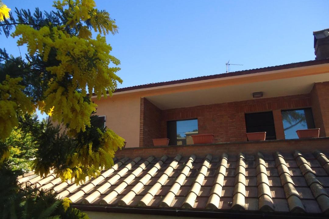 Photo of Buildings in Ponte Felcino