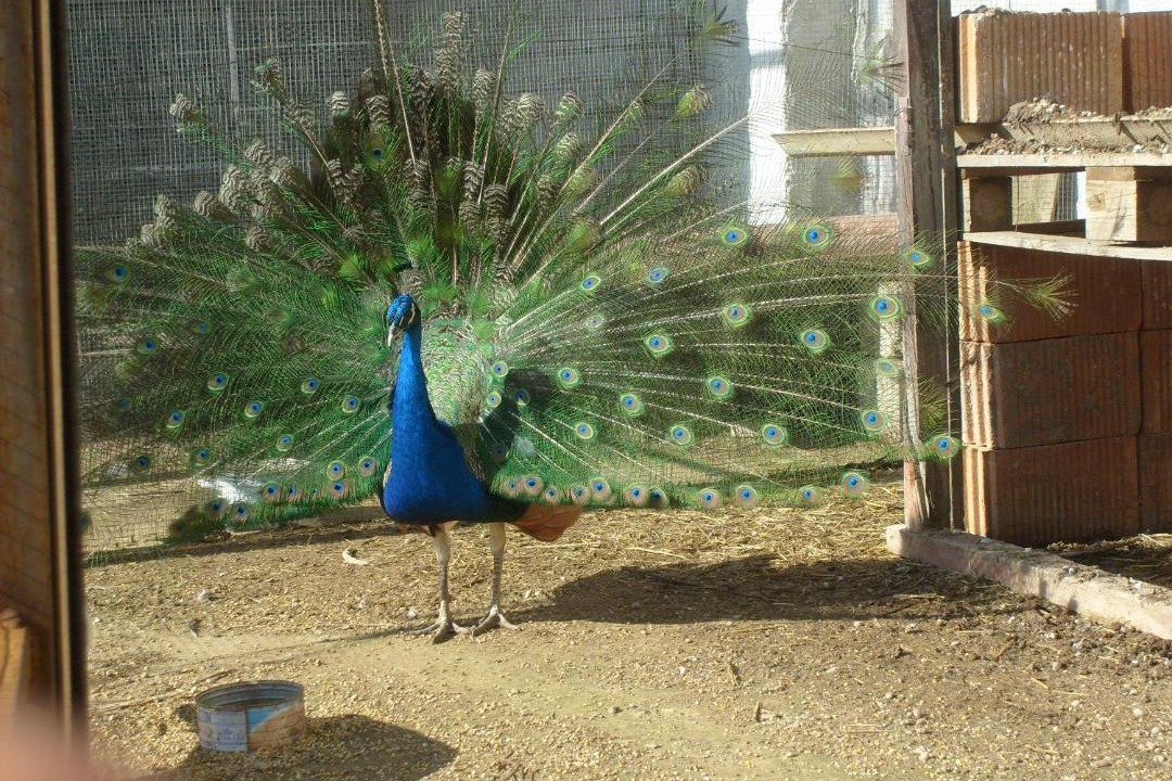 Photo of Others in Casas de Santa Cruz