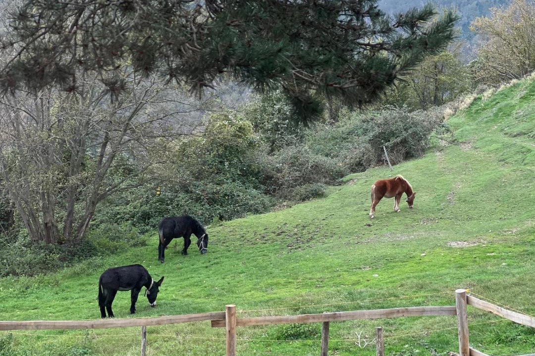 Photo of Others in Garessio