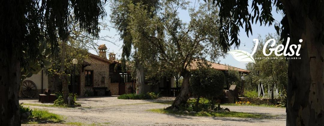 Photo of Others in Francavilla Marittima