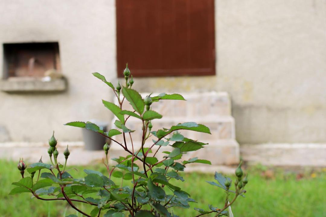 Photo of Others in Castiglione dei Pepoli