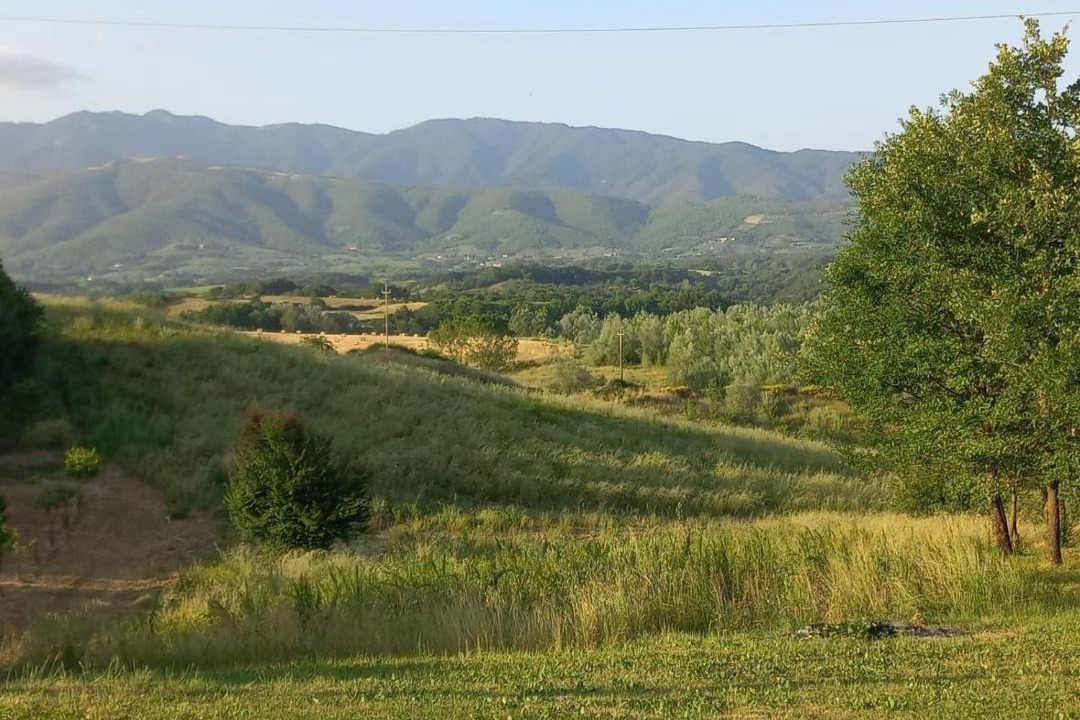 Photo of Others in Terranuova Bracciolini