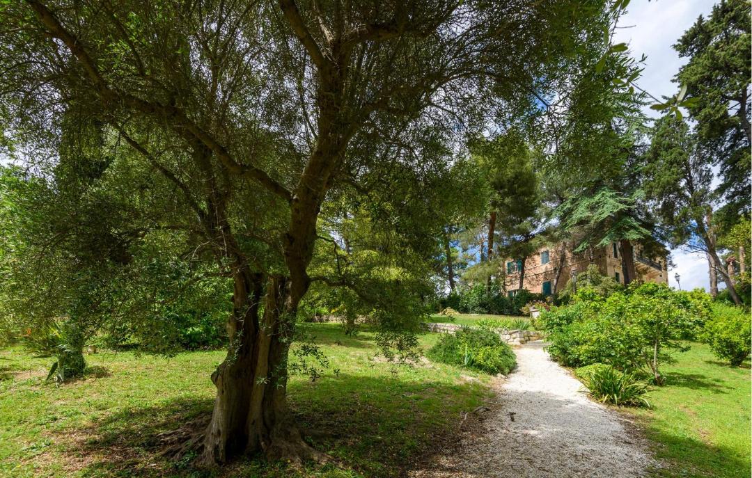 Photo of Outdoor in Porto San Giorgio