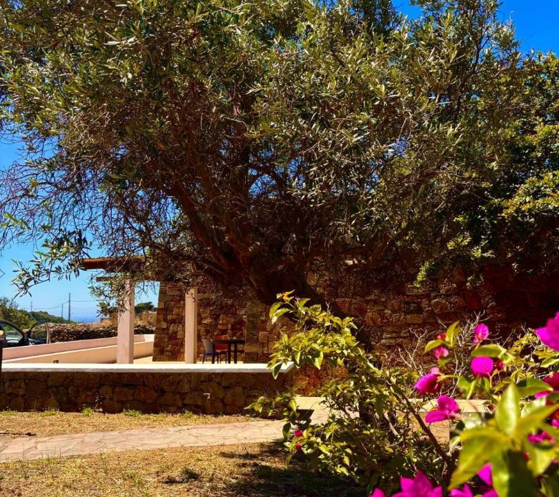 Photo of Others in Pantelleria